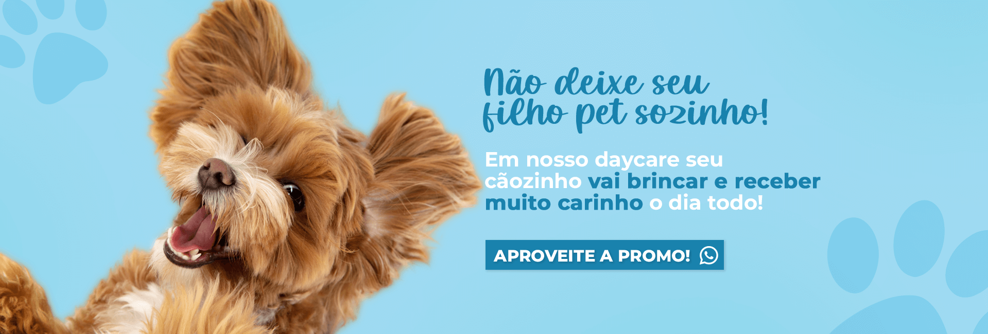 slide-day-care-embaixada-dos-pets-nao-deixe-seu-pet-sozinho